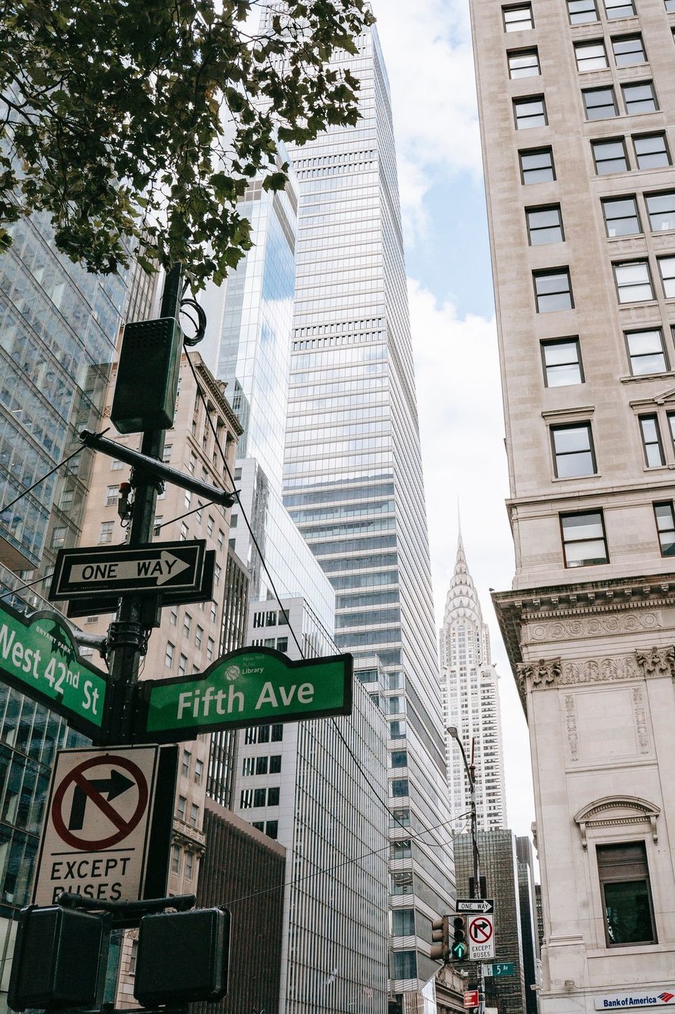 Sophisticated shopping scene on Fifth Avenue with NYC skyline backdrop.