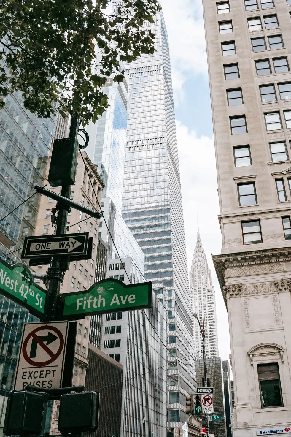New York City Fifth Avenue With Skyscraper View