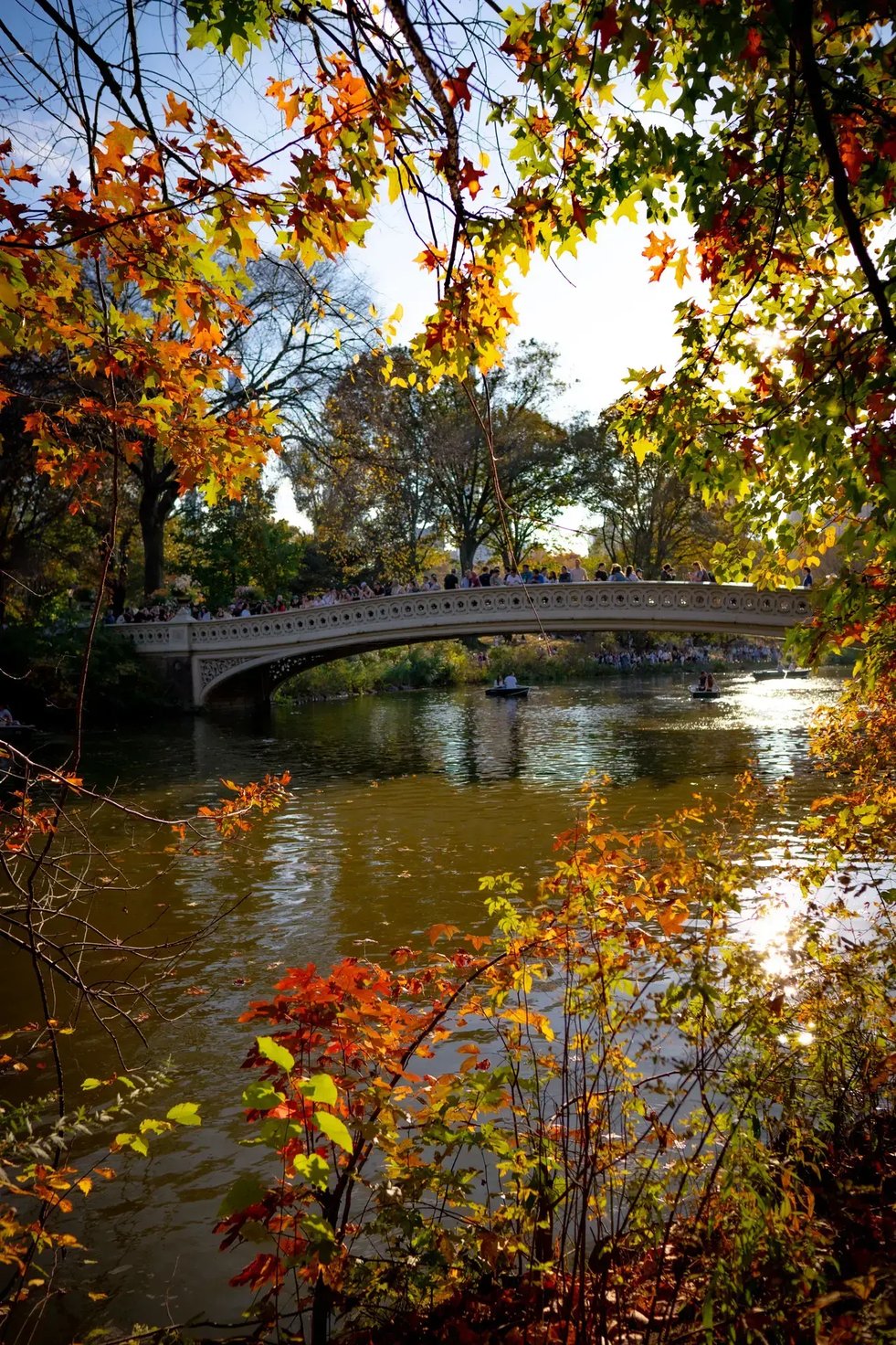Autumn in Central Park with colorful foliage, a tranquil lake, stone bridge, and distant city skyline