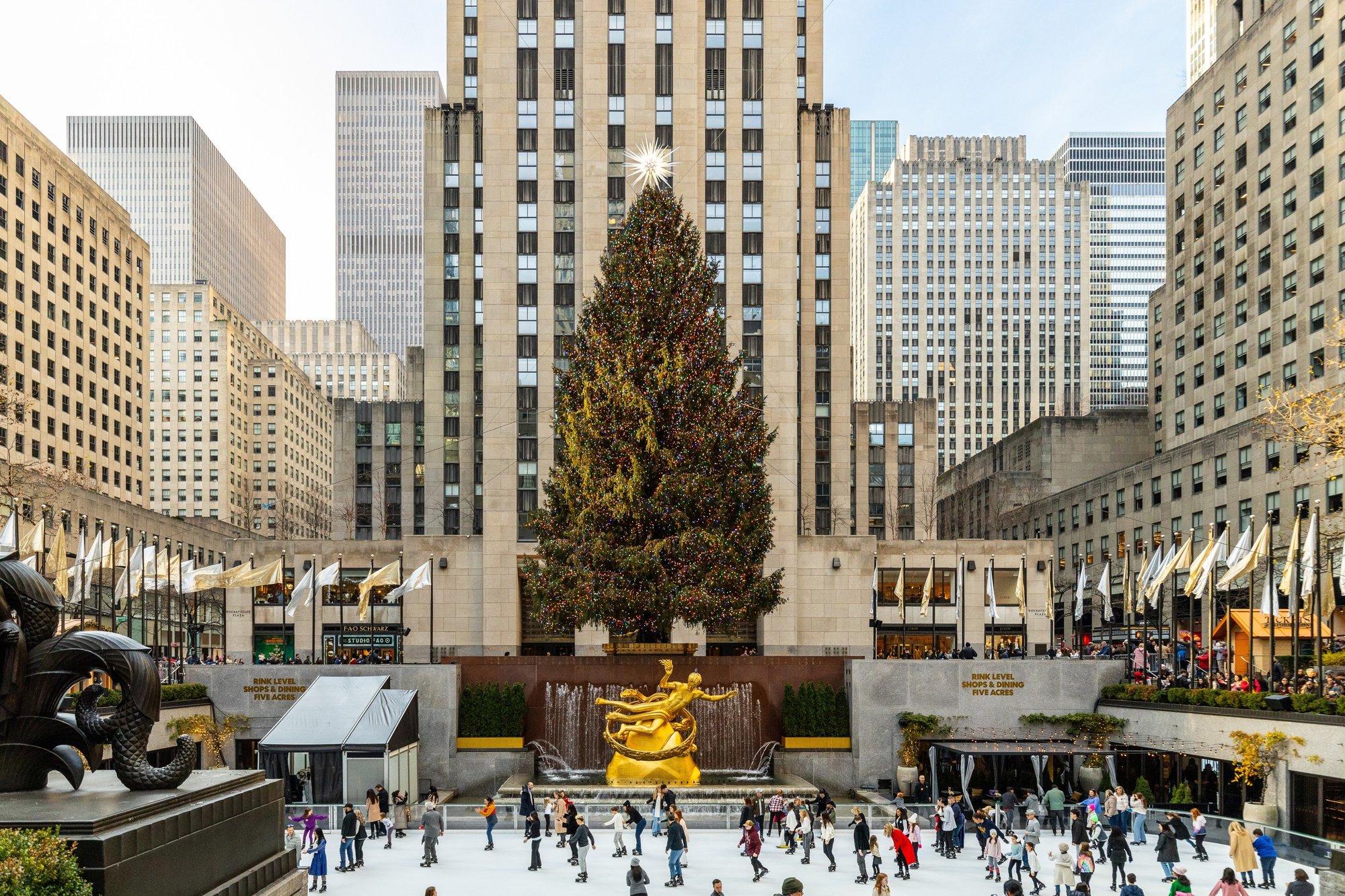 Rockefeller Center Christmas Tree