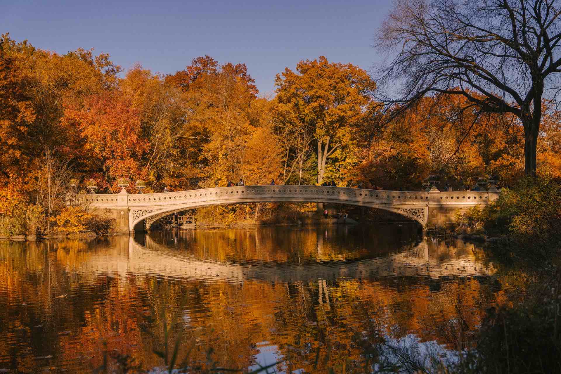 6 Places You Have To Visit In New York In The Fall Photo